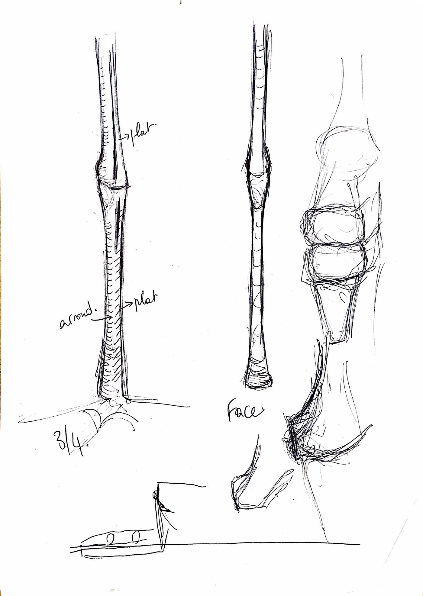 Étude au crayon du héron, croquis 6