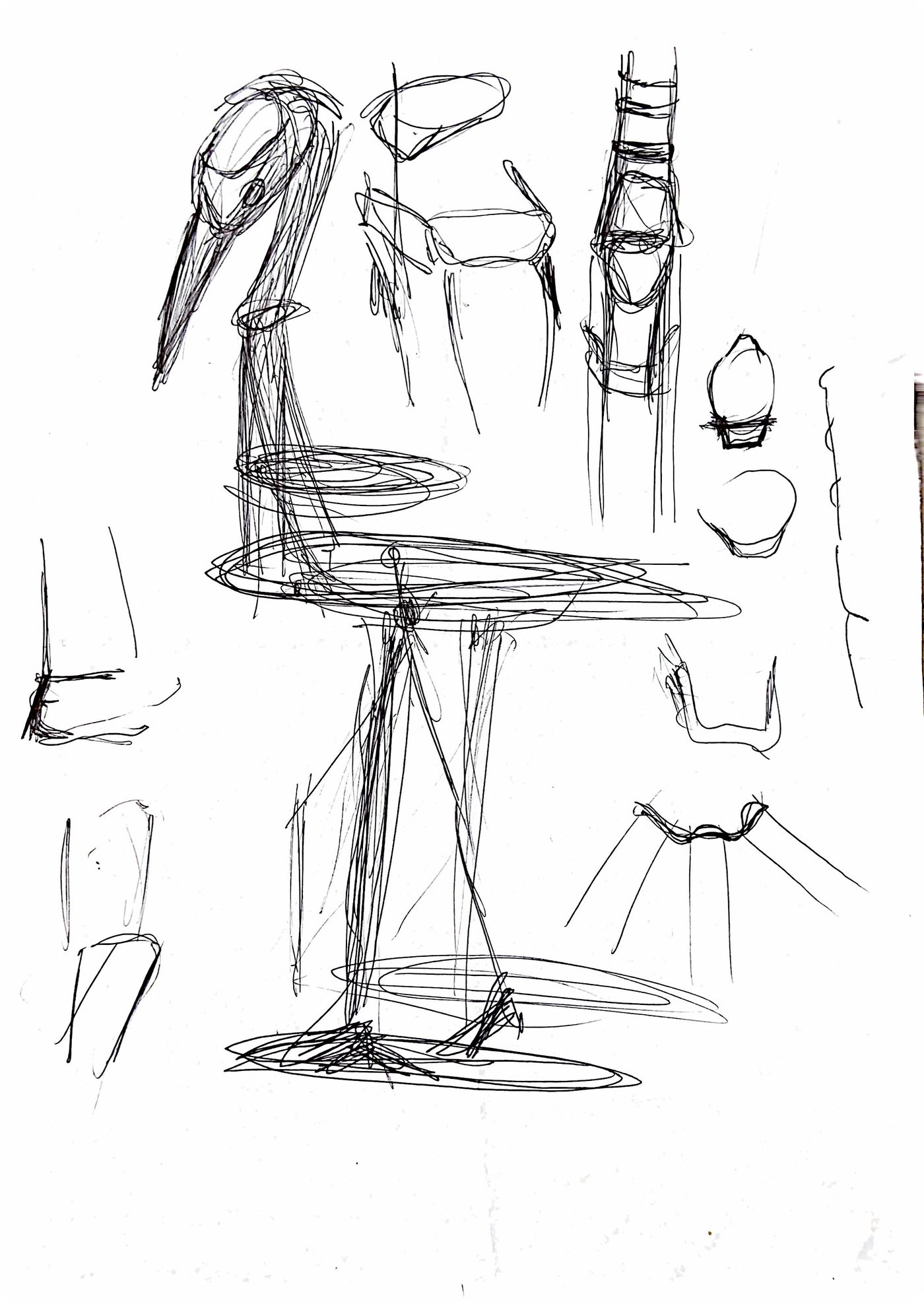 Étude au crayon du héron, croquis 8
