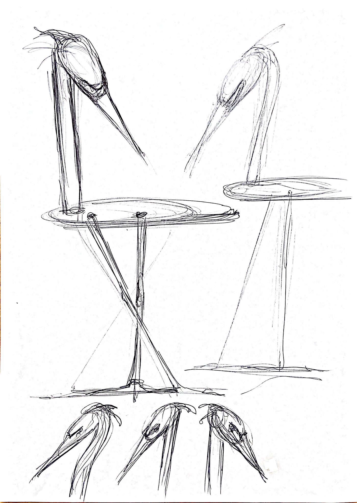 Étude au crayon du héron, croquis 11