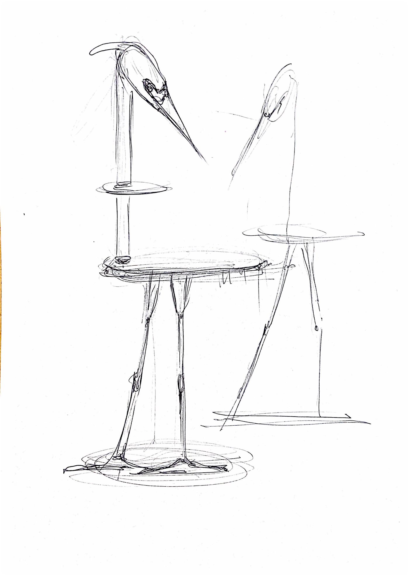 Étude au crayon du héron, croquis 12