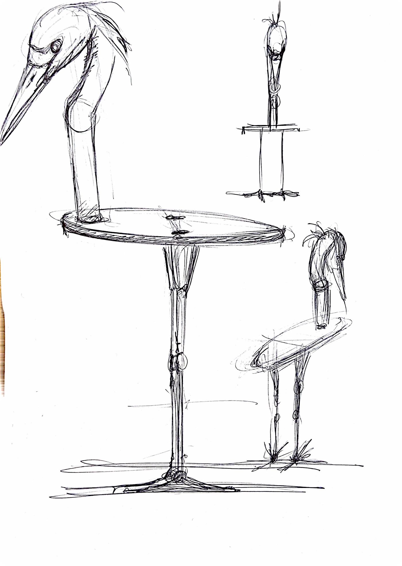 Étude au crayon du héron, croquis 18